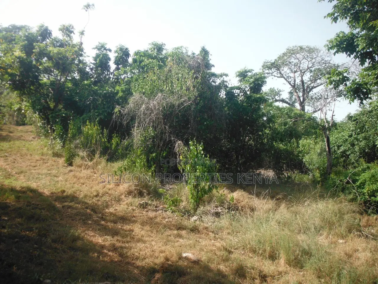 0.25 Acres for Sale in Shimoni in Diani