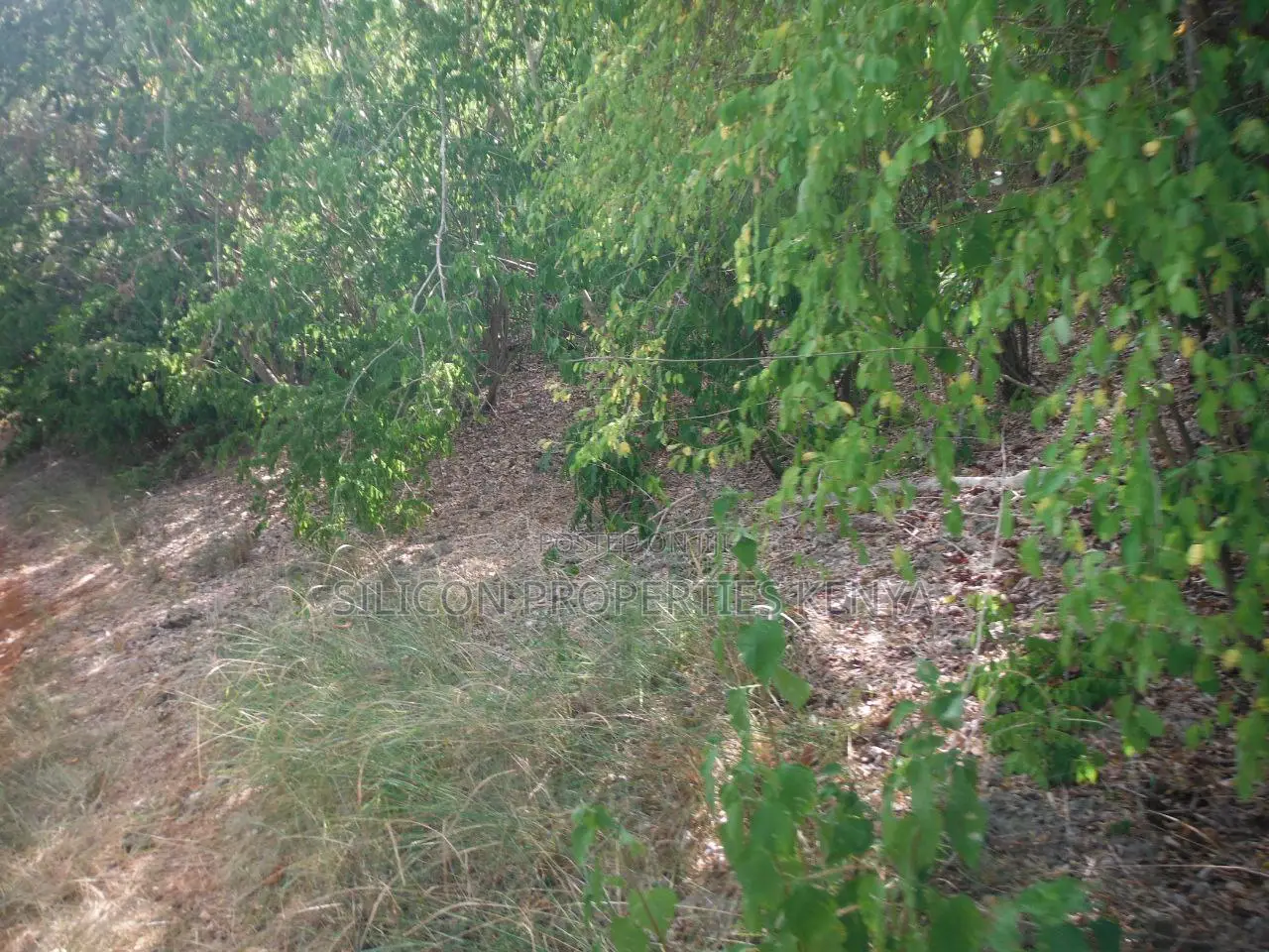 0.25 Acres for Sale in Shimoni in Diani