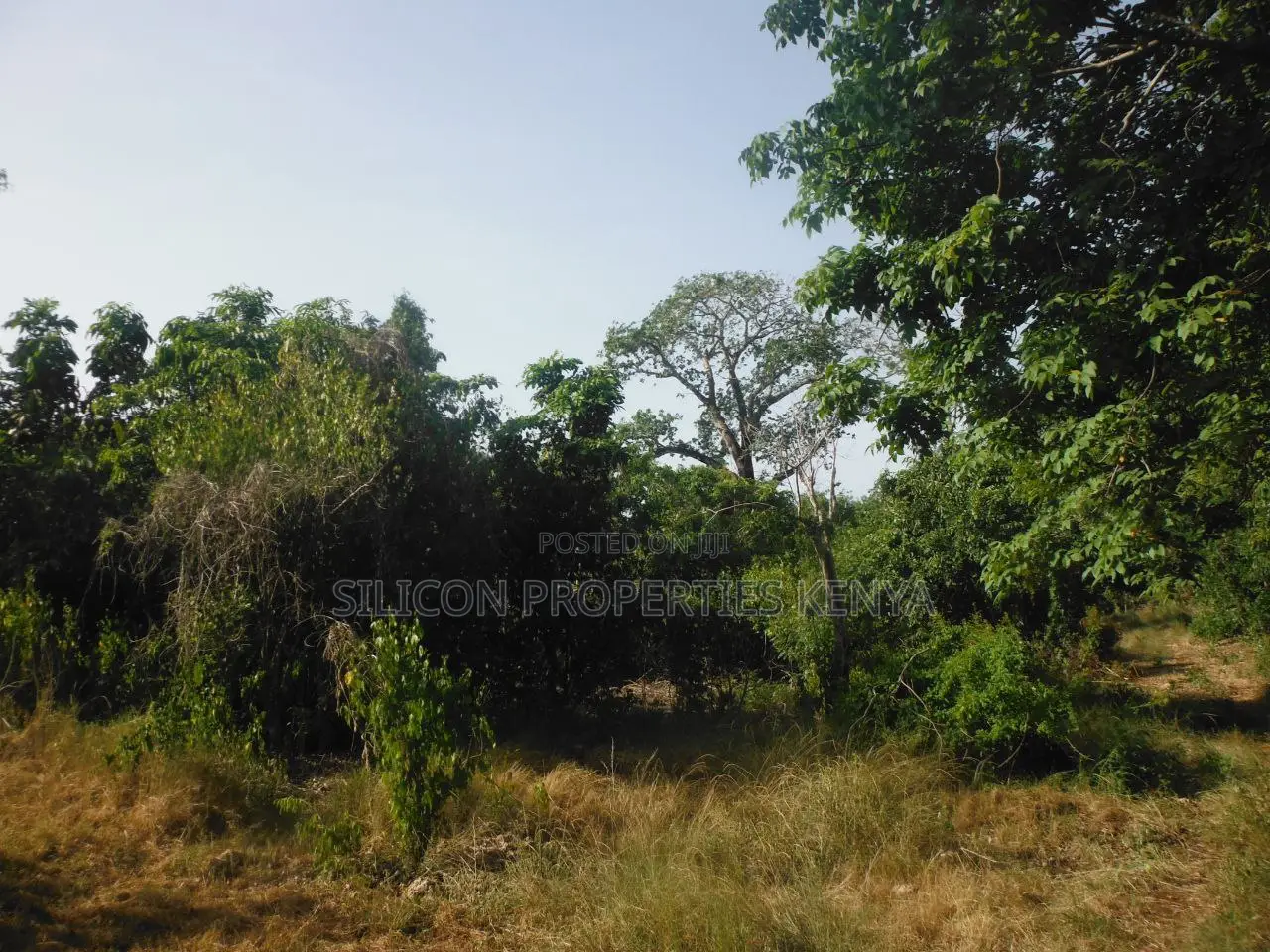 0.25 Acres for Sale in Shimoni in Diani