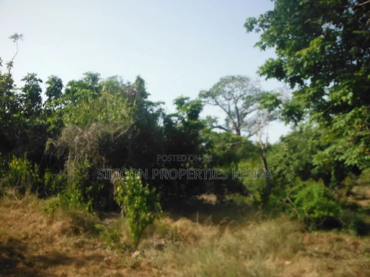 Another 0.25 Acre in Shimoni in Diani