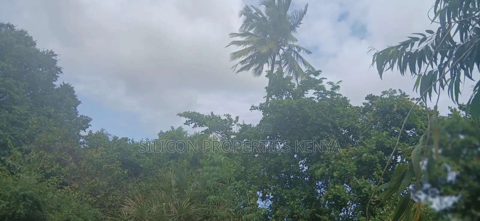12 Acres for Sale in Ramisi – KES Per Acre in Ramisi