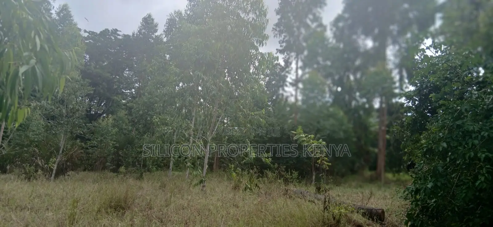 12 Acres for Sale in Ramisi – KES Per Acre in Ramisi