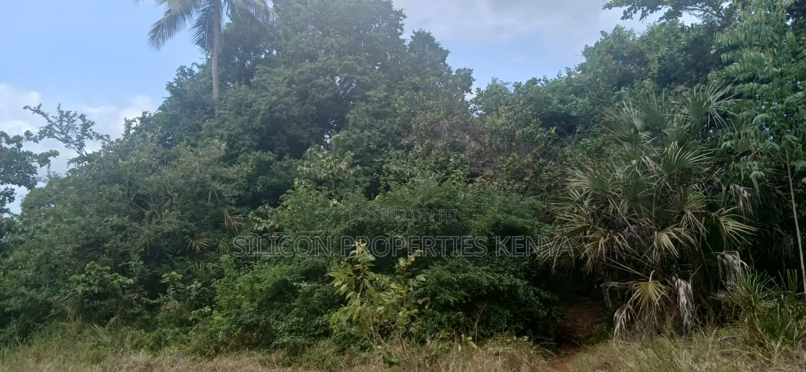 12 Acres for Sale in Ramisi – KES Per Acre in Ramisi