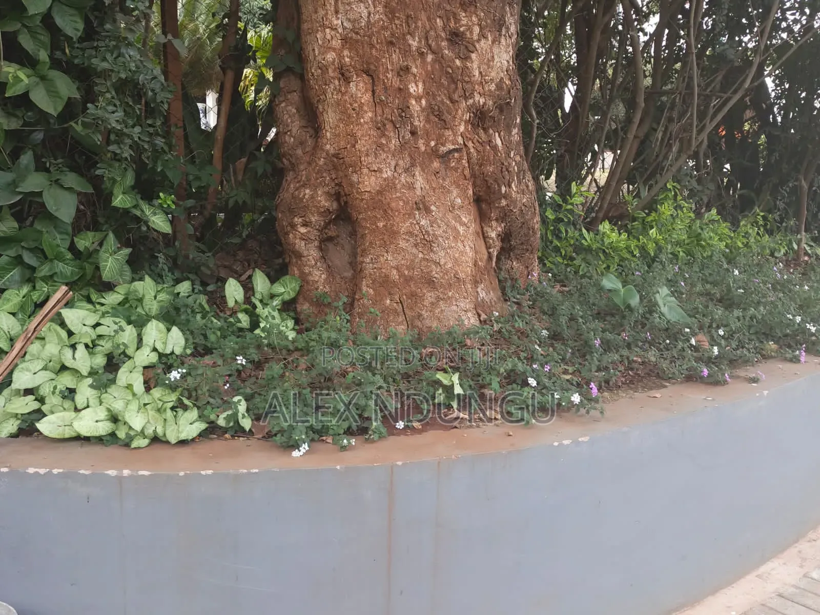 Furnished 5bdrm Block of Flats in Nairobi Central for sale in Nairobi Central