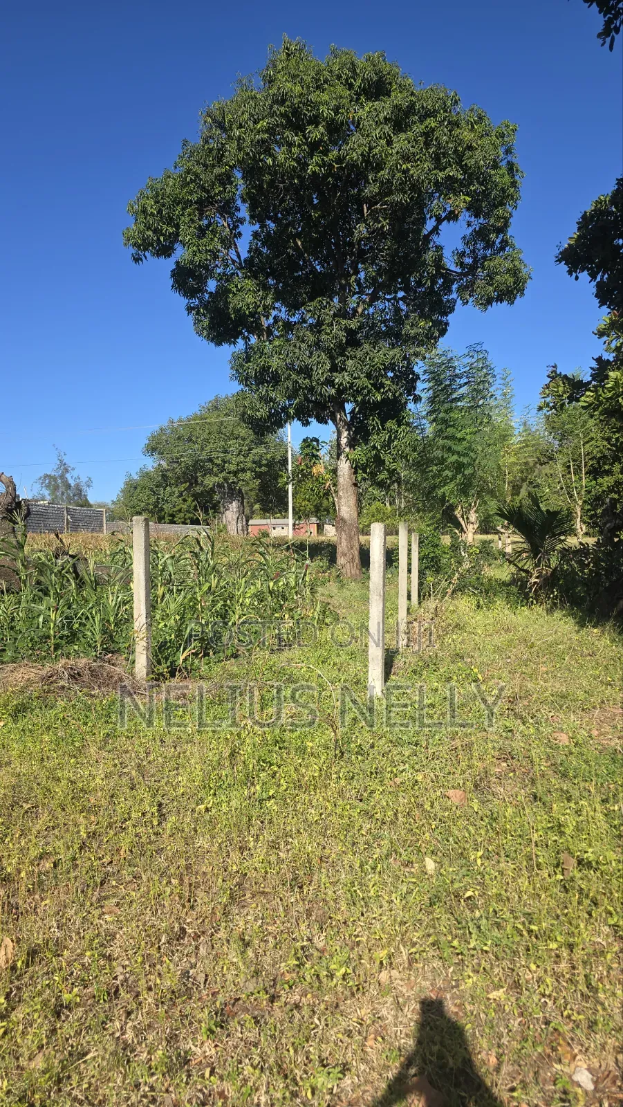 1acre Land Mtondia Kilifi 200meters From Mombasa Malindi Highway in Kilifi North