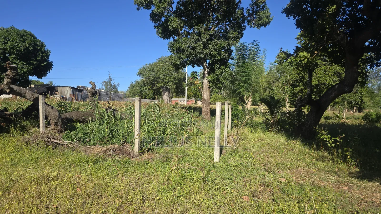 1acre Land Mtondia Kilifi 200meters From Mombasa Malindi Highway in Kilifi North