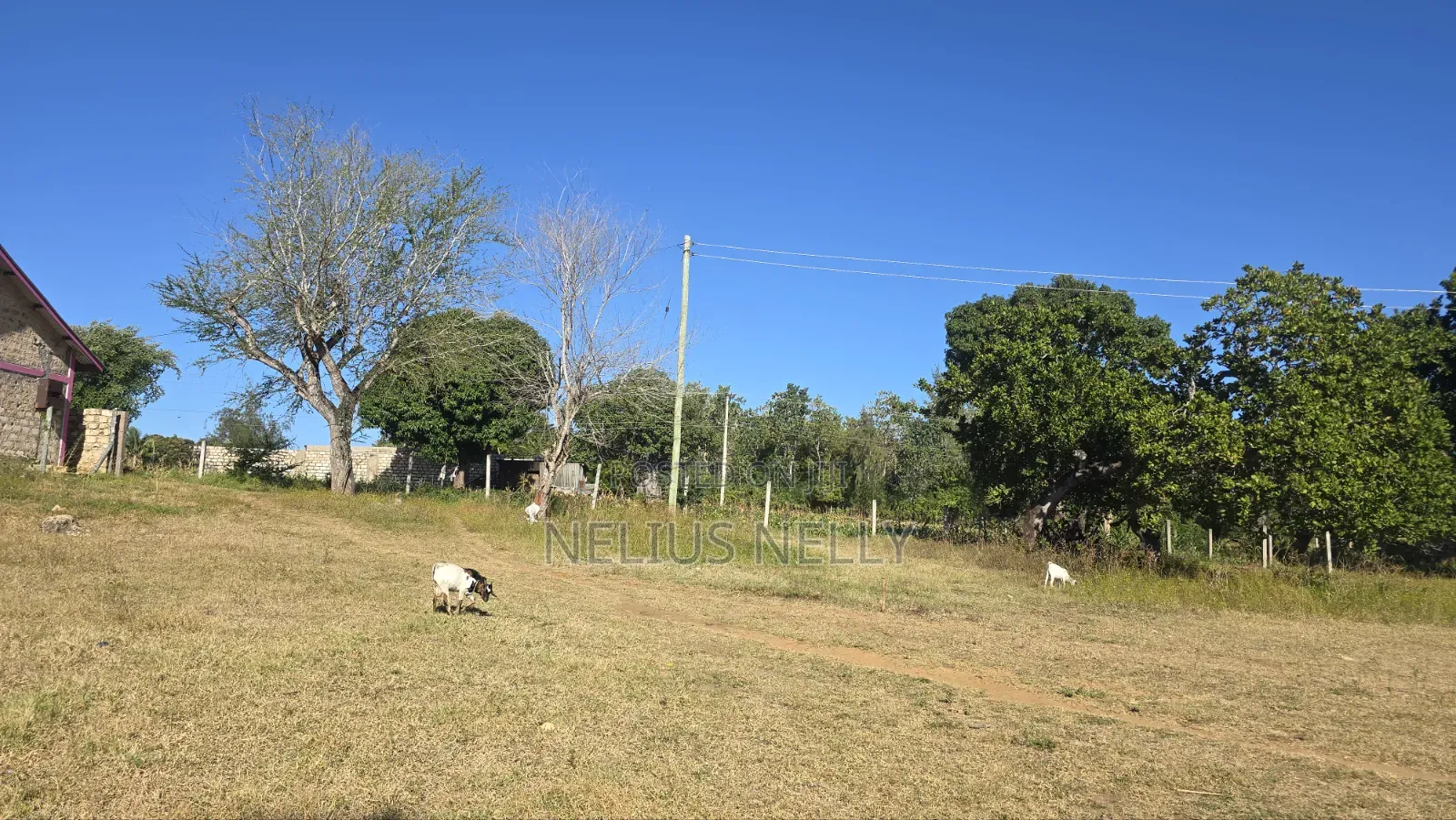 1acre Land Mtondia Kilifi 200meters From Mombasa Malindi Highway in Kilifi North