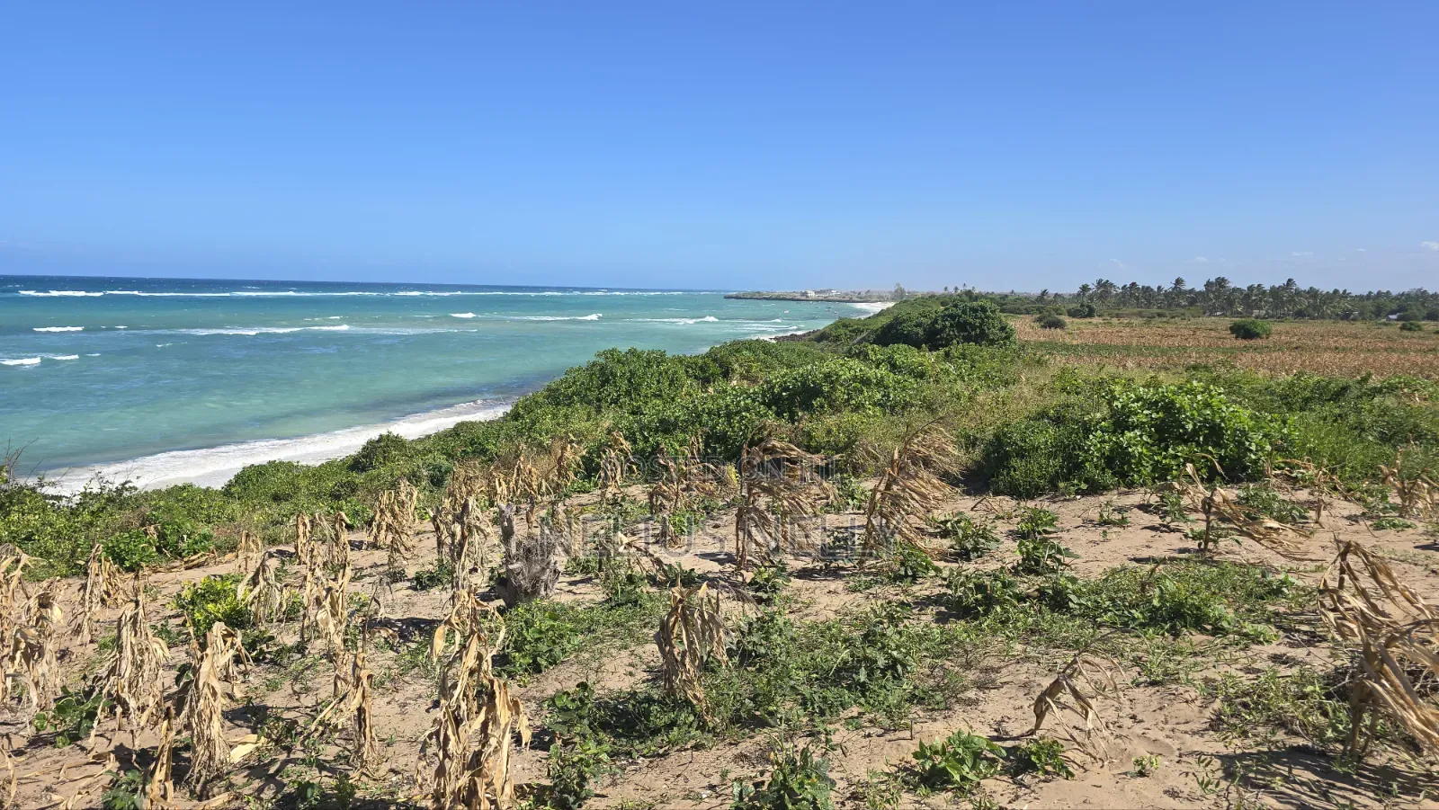 Beach Front Property 9 Acres Land Kilifi Chumani in Kilifi North