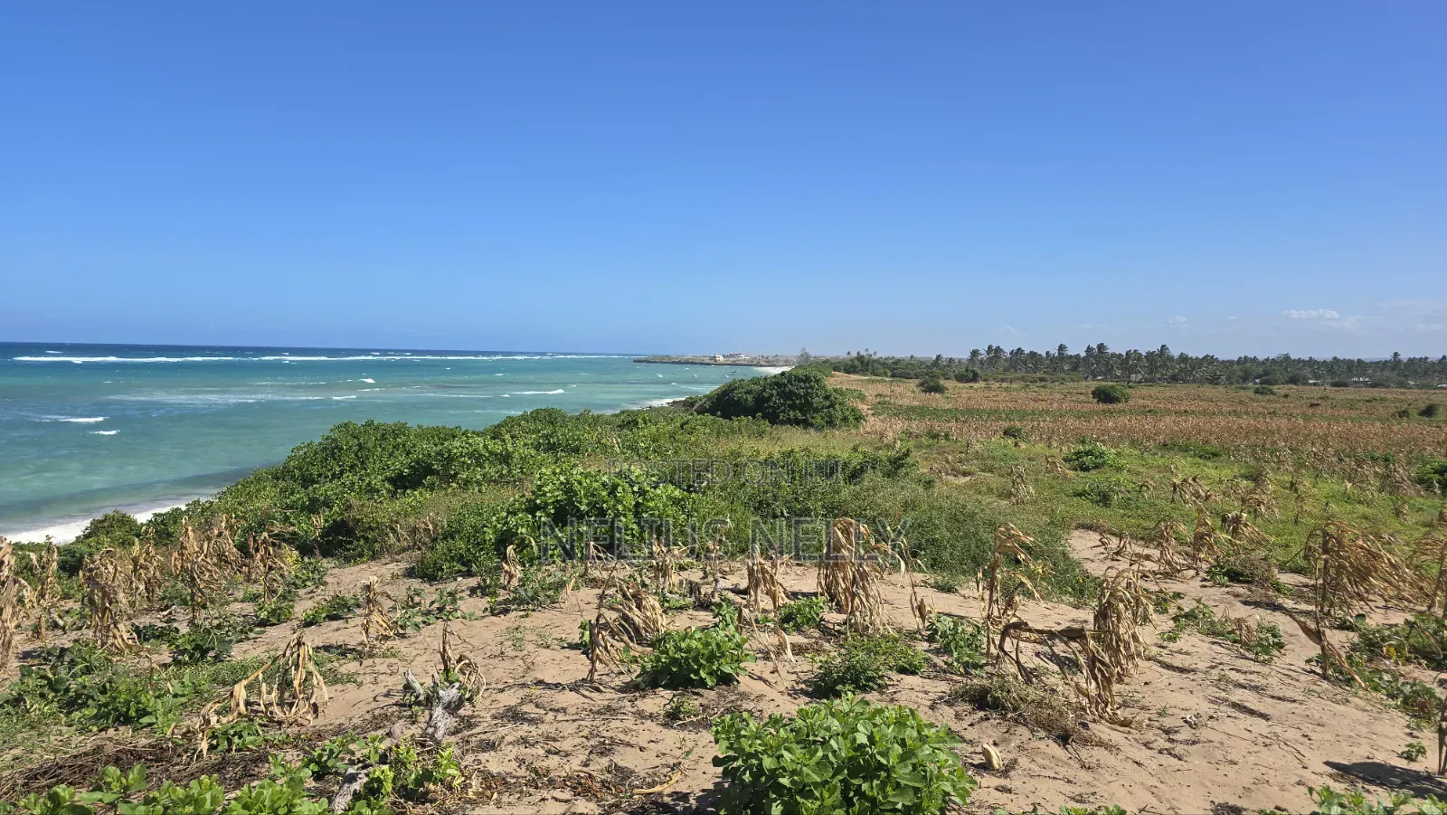 Beach Front Property 9 Acres Land Kilifi Chumani in Kilifi North