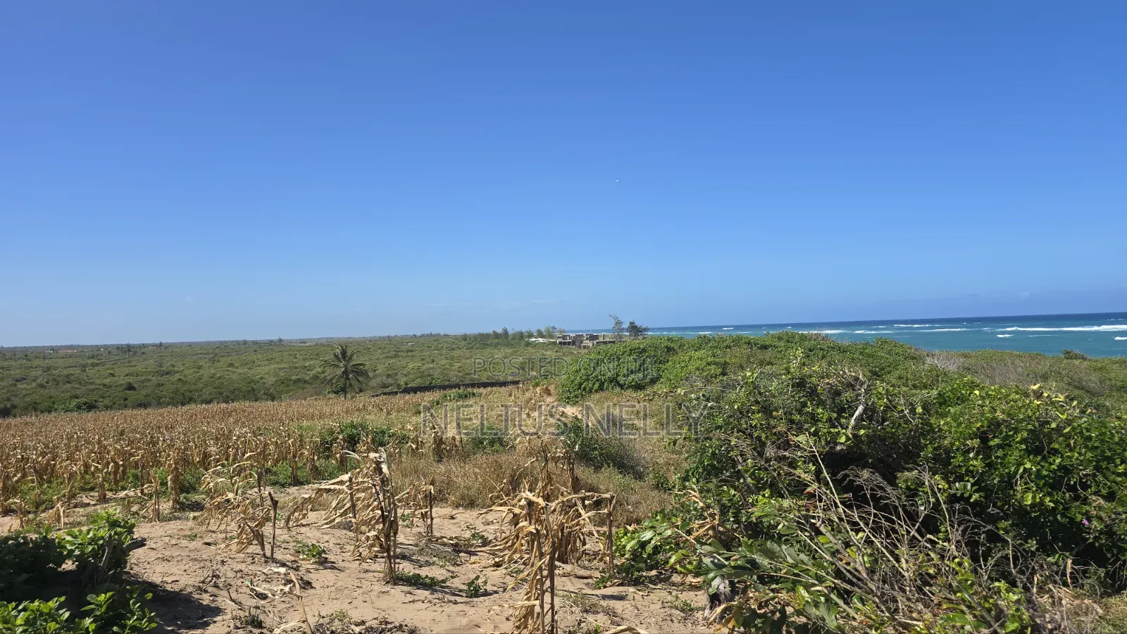Beach Front Property 9 Acres Land Kilifi Chumani in Kilifi North