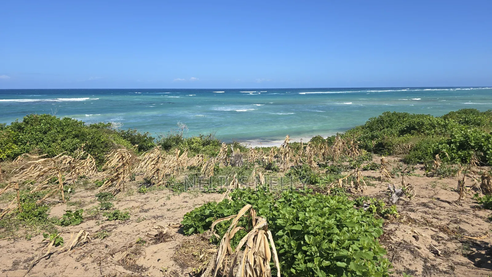 Beach Front Property 9 Acres Land Kilifi Chumani in Kilifi North