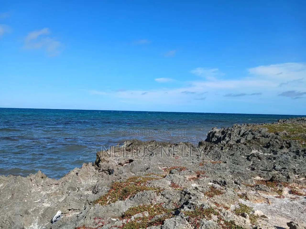 2Acres Frontage Kilifi in Kilifi North