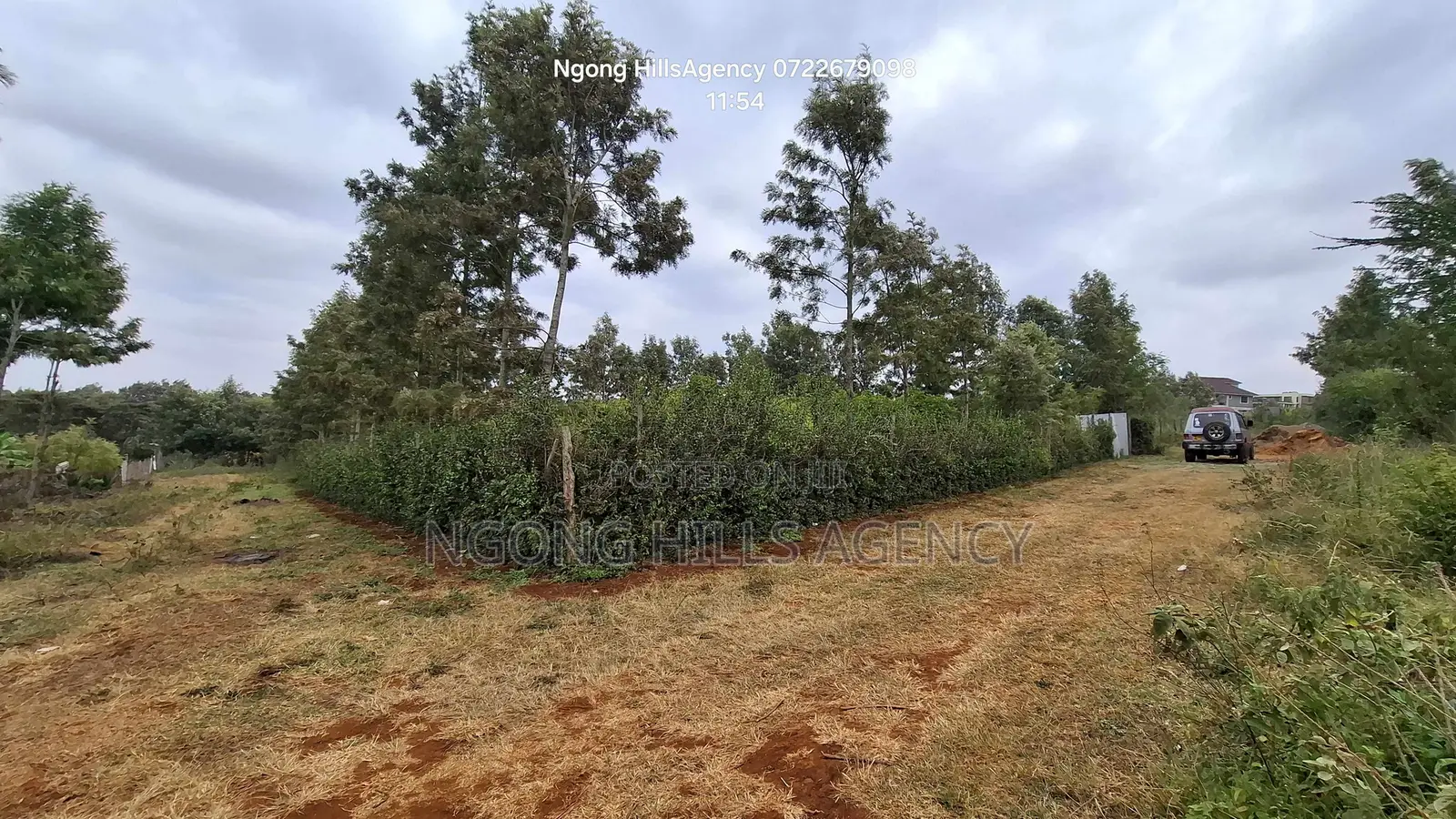Prime 100x100 Orchard Plot for Sale – Kibiko, Baboon Crescent Road in Kibiku