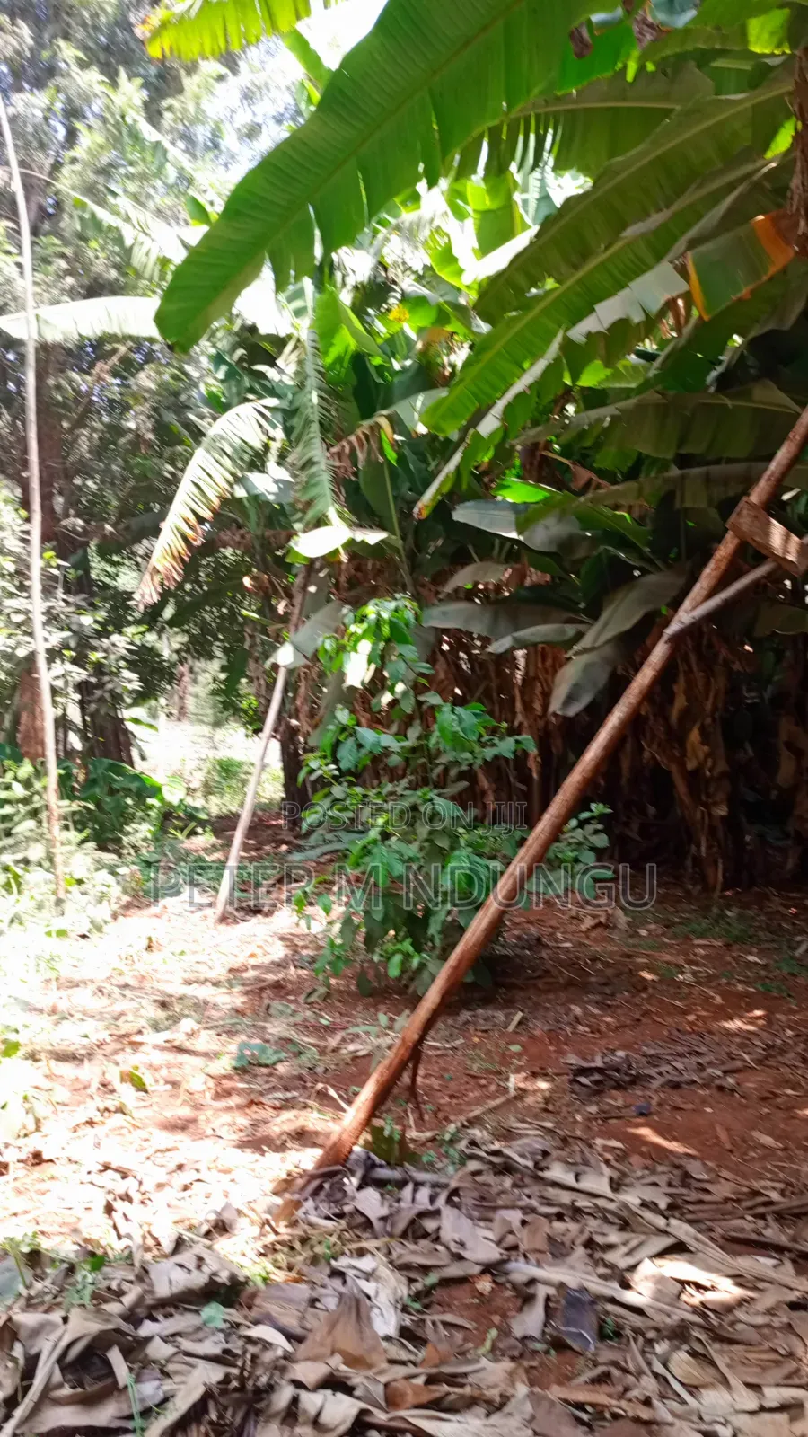 Thindigua/Kasarini- Commercial 1/2 Acre, Prime Location in Kiambu / Kiambu 