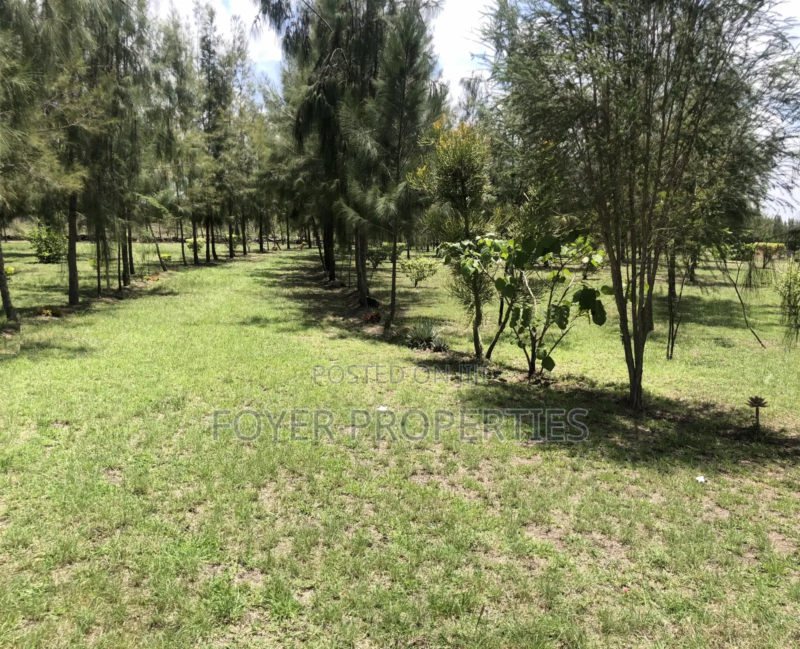 Plot Overlooking Nairobi National Park in Oloosirkon/Sholinke