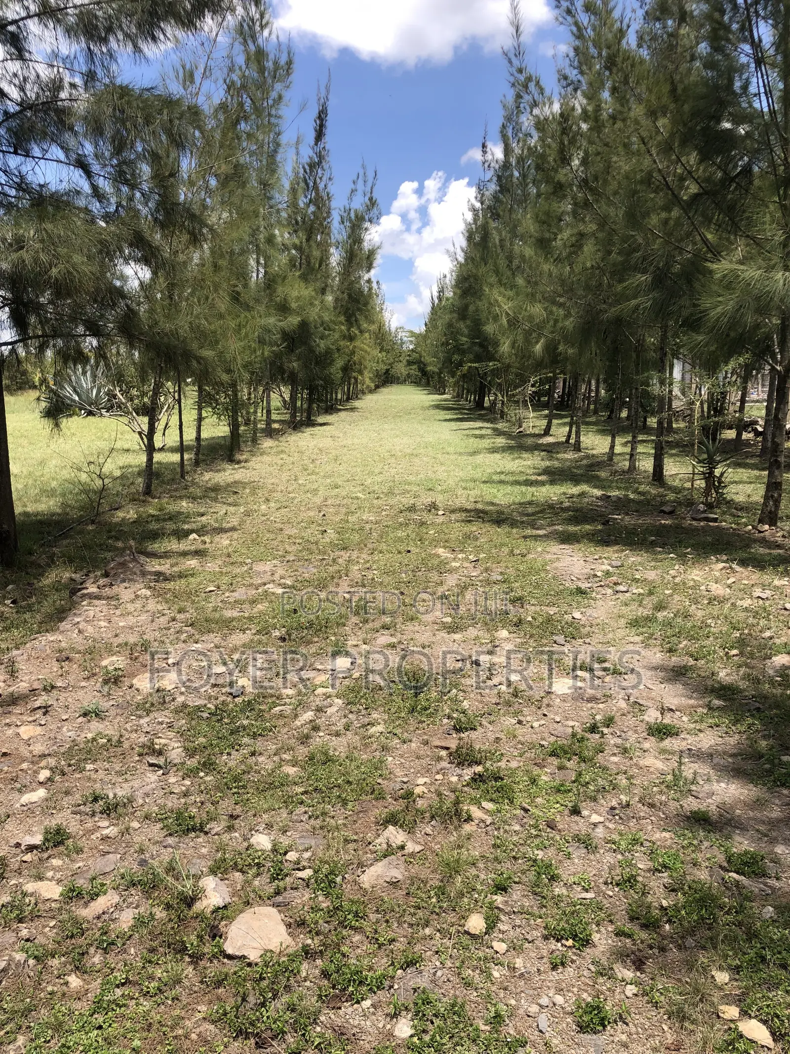 Plot Overlooking Nairobi National Park in Oloosirkon/Sholinke
