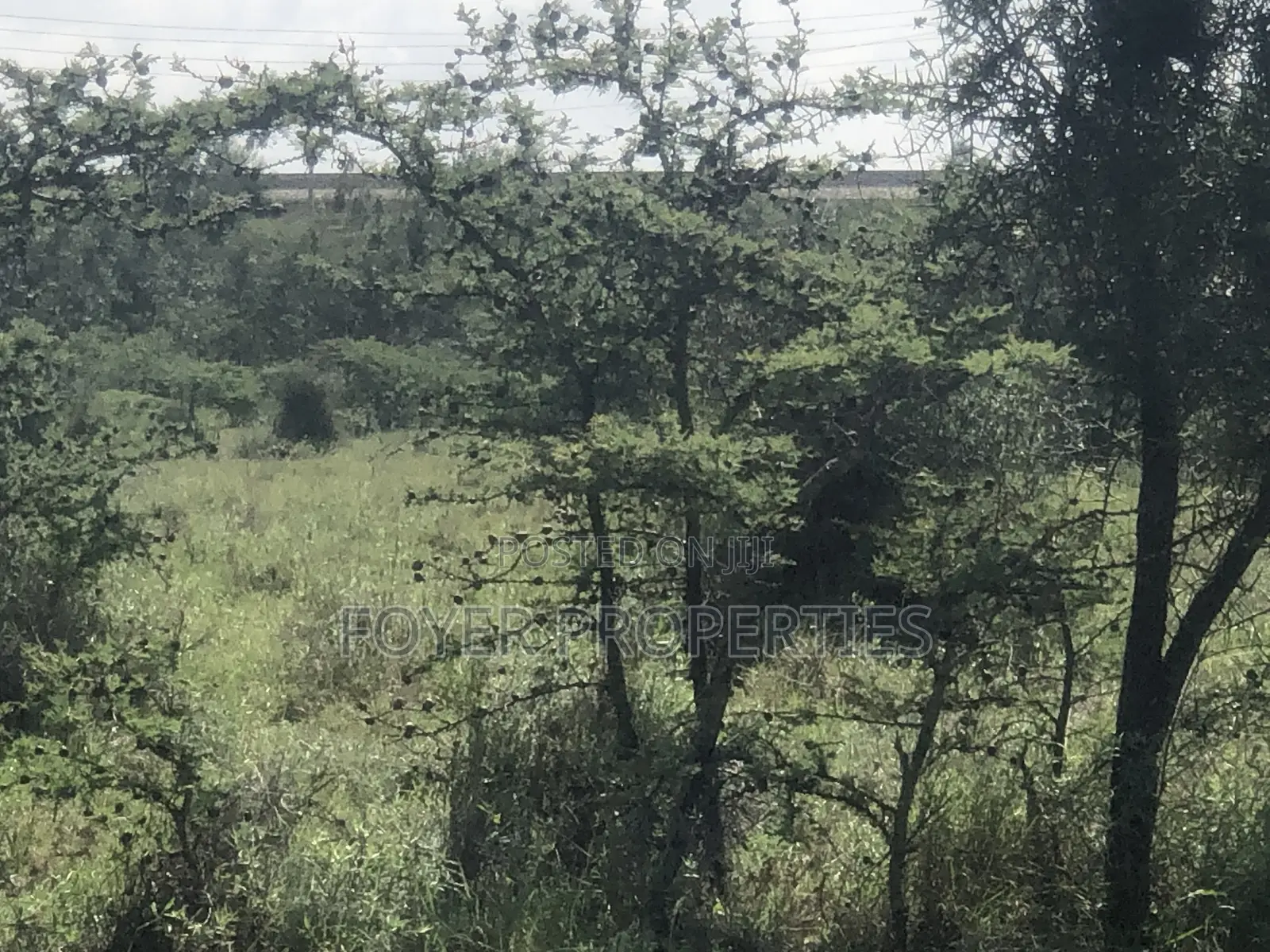 Plot Near Nairobi National Park in Oloosirkon/Sholinke