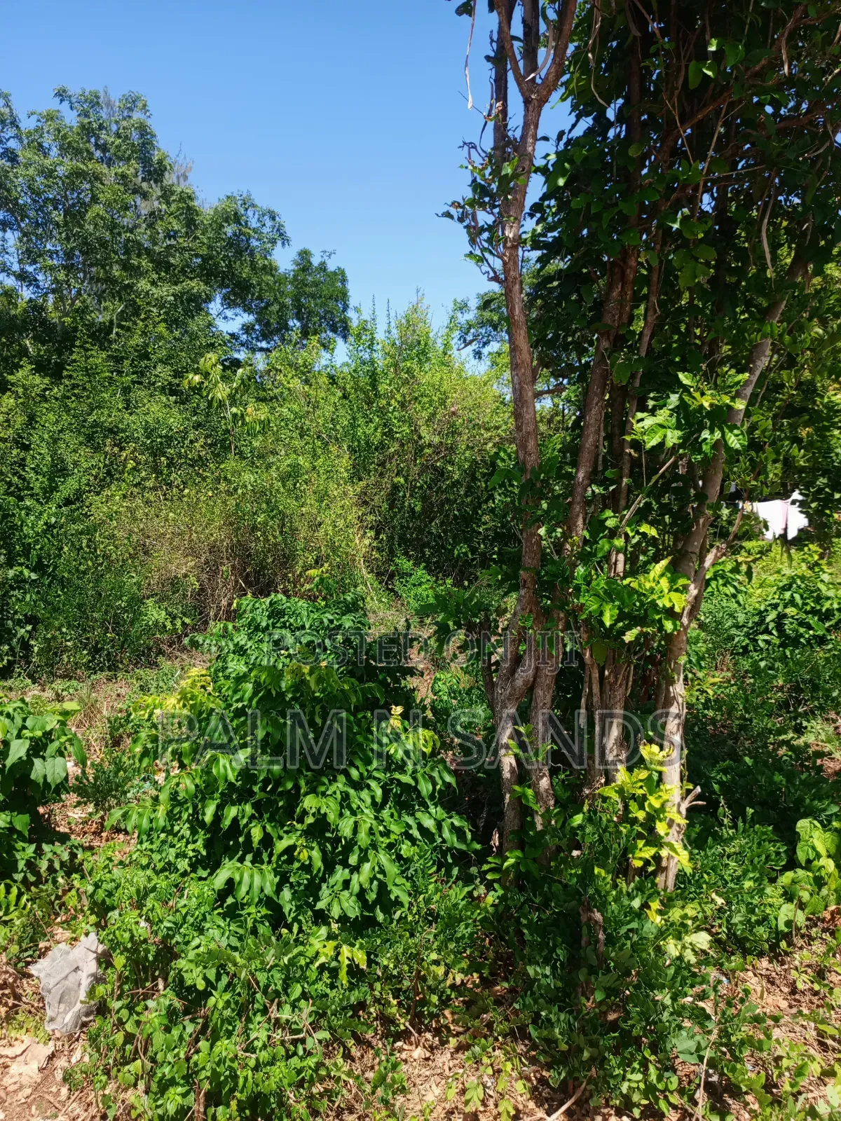 One Acre in Galu Diani on Sale in Diani