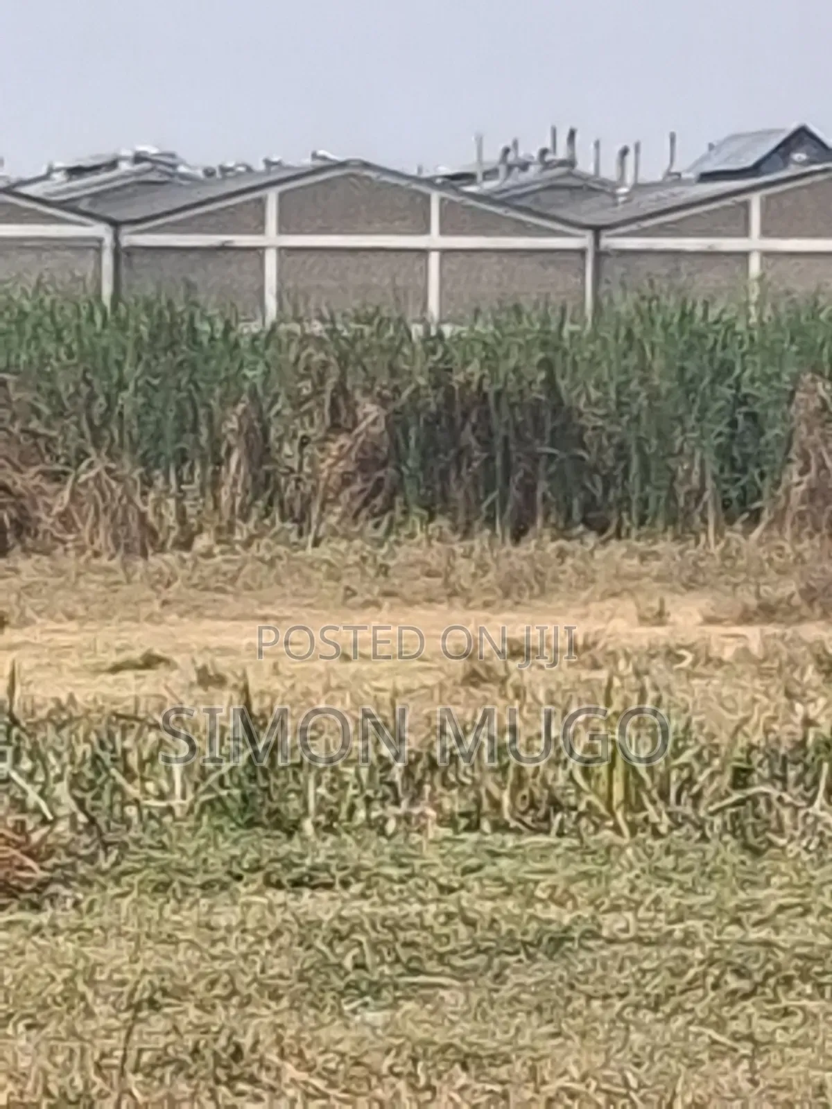 Ruiru Thika Road Industrial 5 Acres Behind Dr. Mattress in Membley Estate