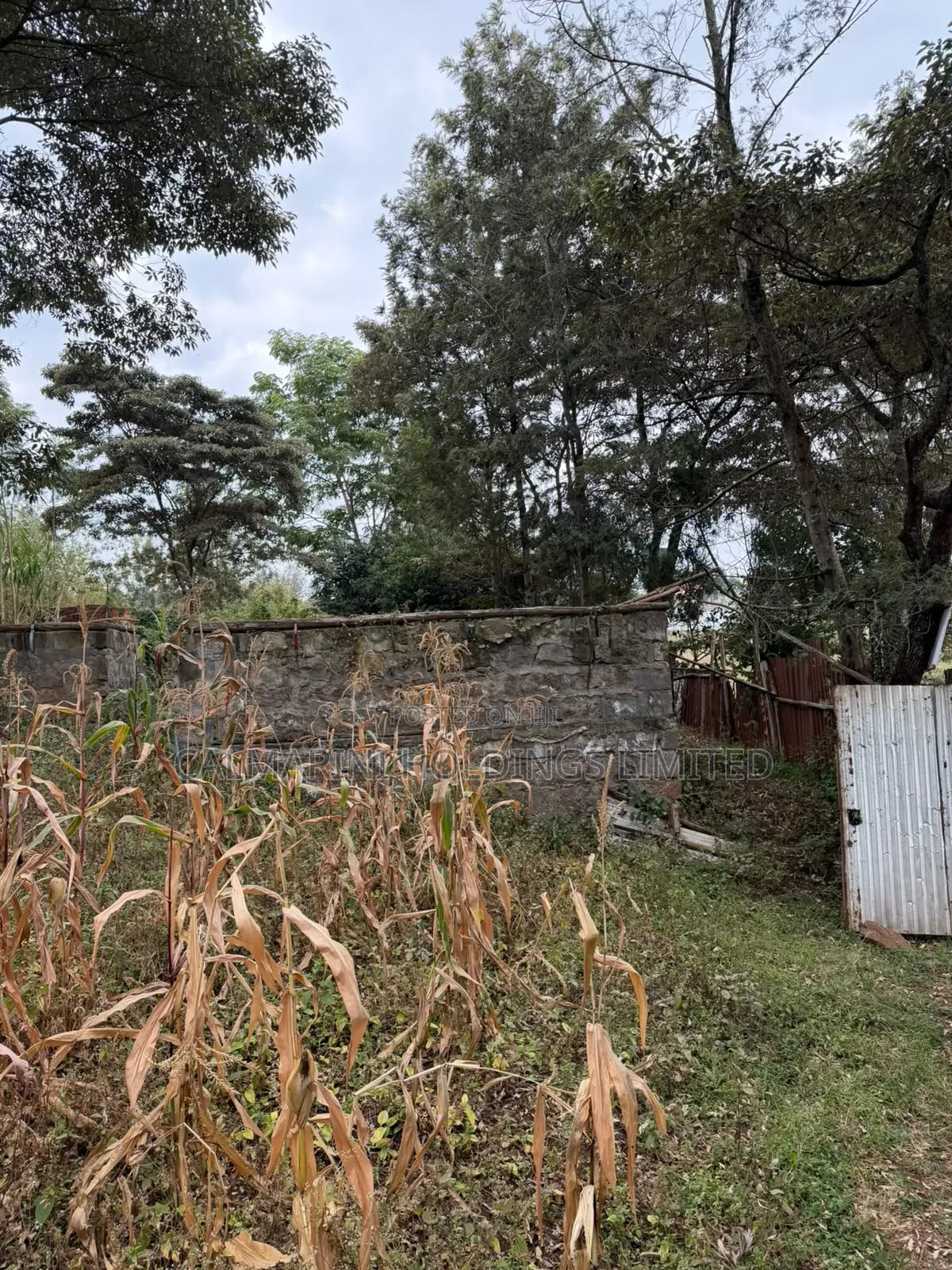 Distress Sale!Prime 0.21HA (Big Half Acre)in Olkeri, Ngong at Kes 9.2M in Olkeri