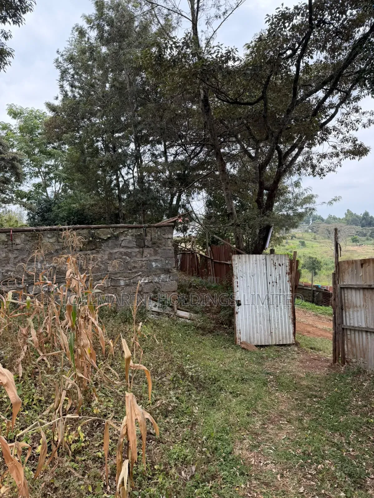 Distress Sale!Prime 0.21HA (Big Half Acre)in Olkeri, Ngong at Kes 9.2M in Olkeri