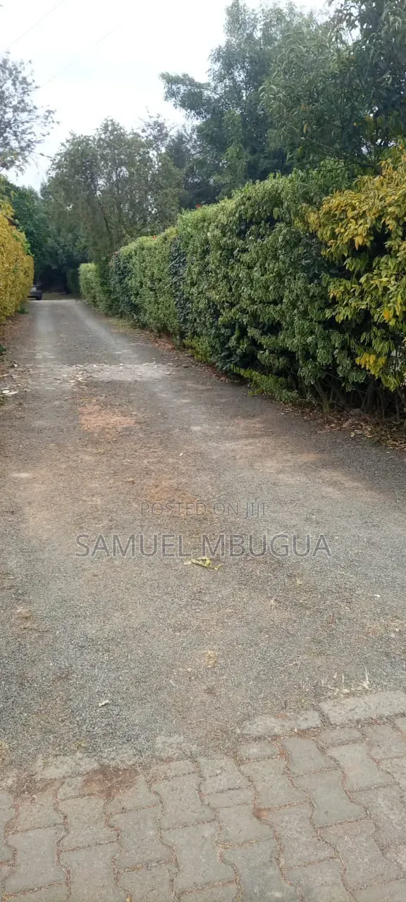 2bdrm Bungalow in Karen for rent in Karen