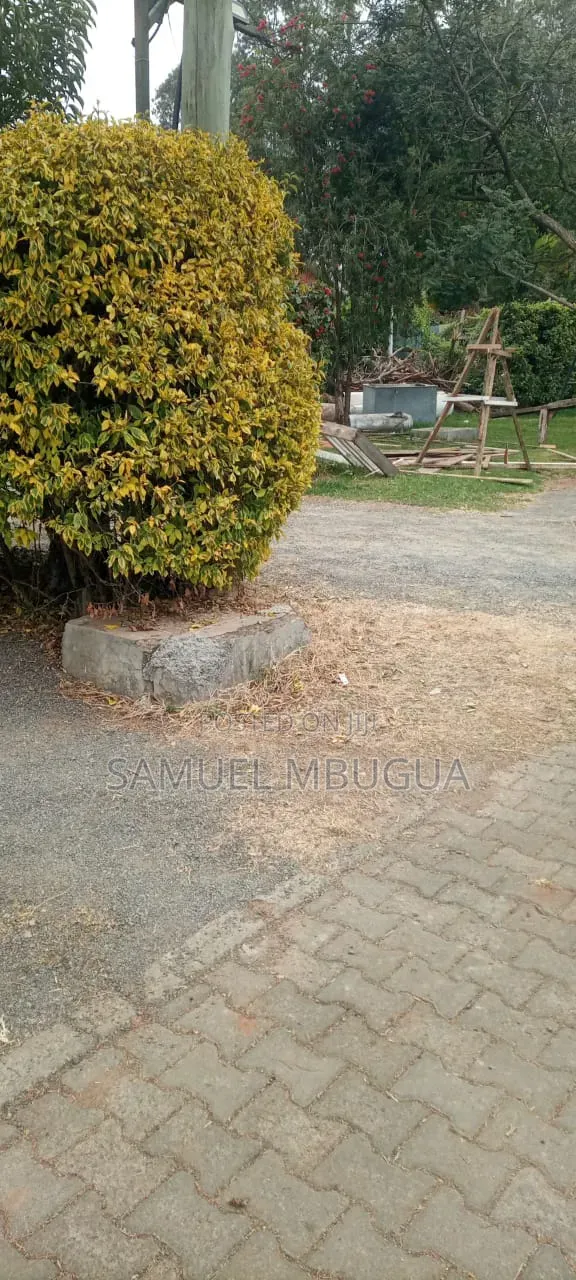 2bdrm Bungalow in Karen for rent in Karen
