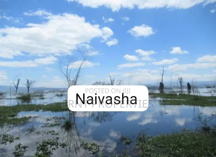 HOT SALE: 120 Acres Touching Lake Naivasha in Naivasha