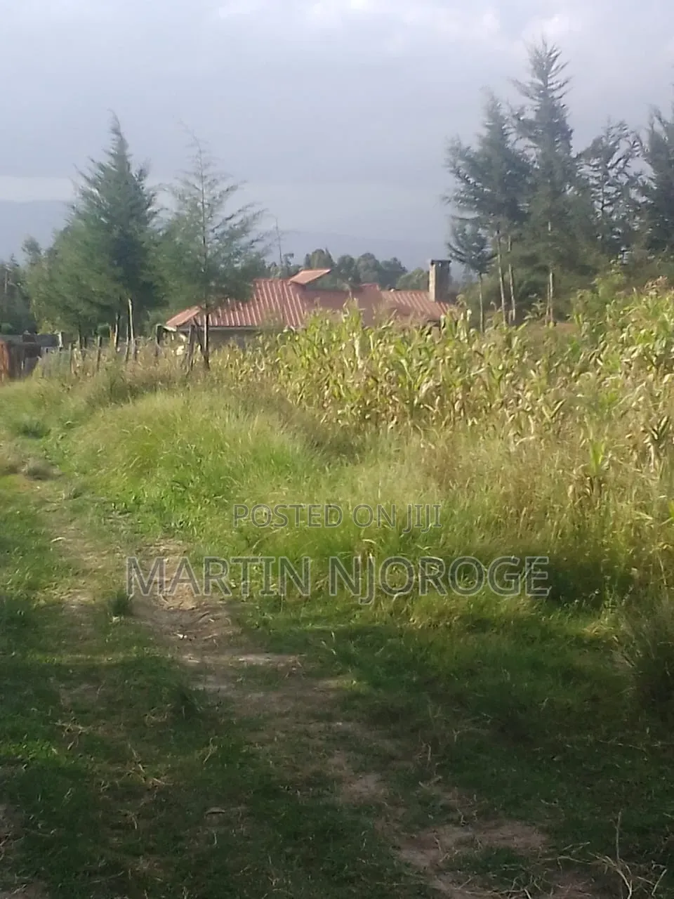 75 by 100 Kwa Ngothi, Ndunyu Njeru in Engineer