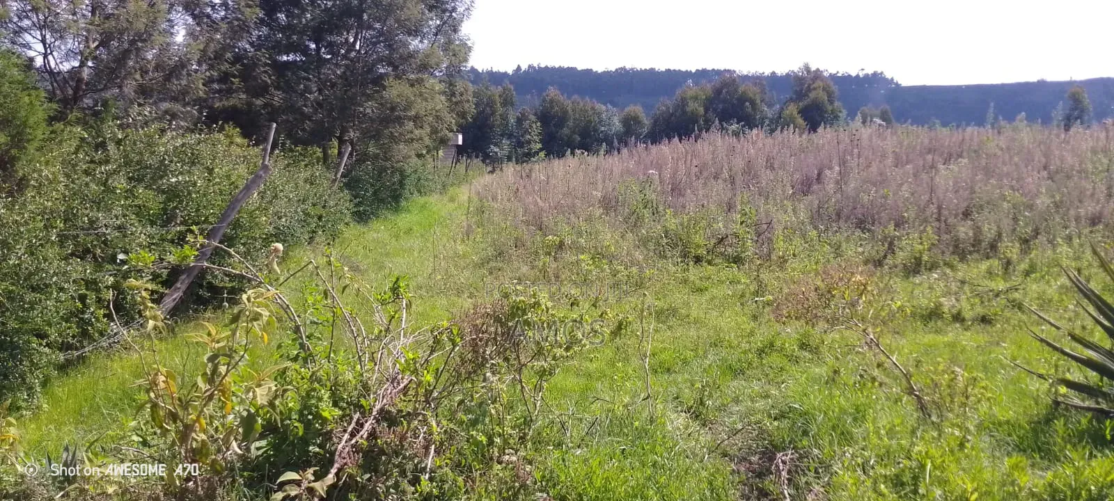 1⁄4acre for Sale in Ndeiya Ndiuni Near Kwa Wanene Shopping Center in Ndeiya