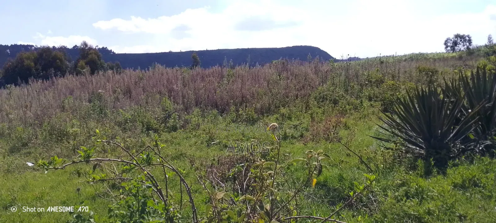 1⁄4acre for Sale in Ndeiya Ndiuni Near Kwa Wanene Shopping Center in Ndeiya