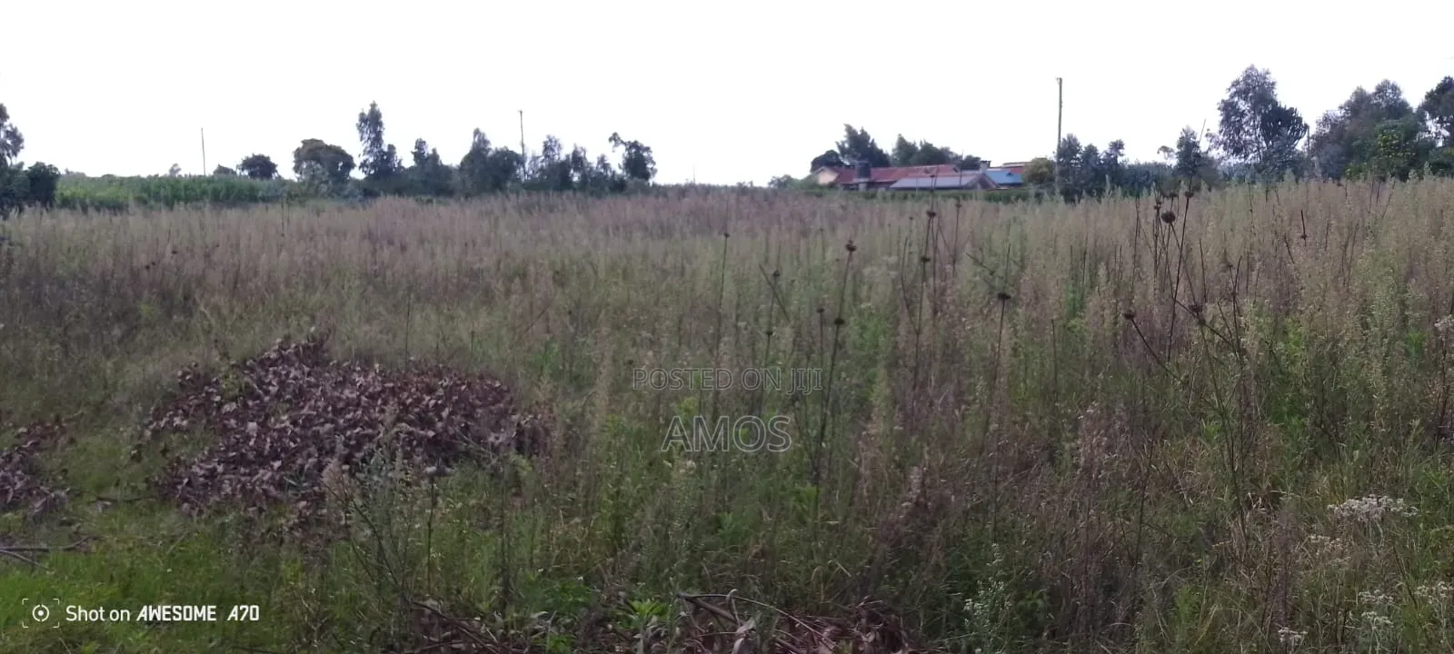 1⁄4acre for Sale in Ndeiya Ndiuni Near Kwa Wanene Shopping Center in Ndeiya