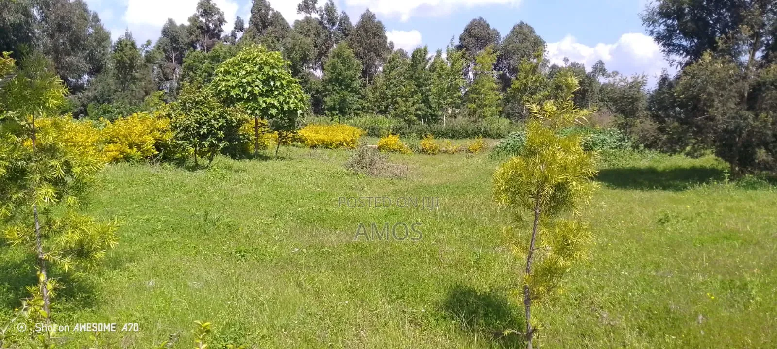 1⁄4acre for Sale in Ndeiya Ndiuni Near Kwa Wanene Shopping Center in Ndeiya