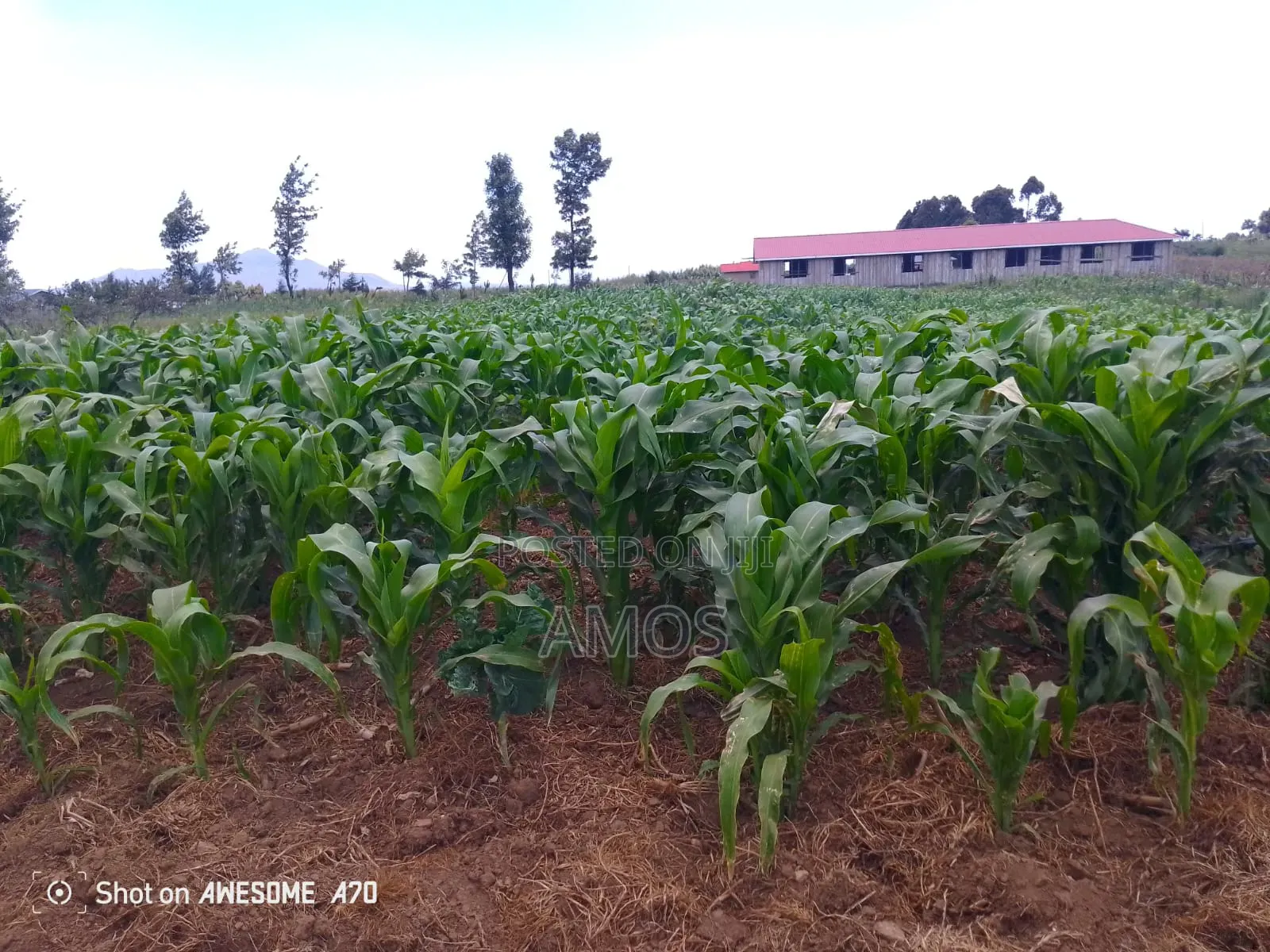 1⁄4ac Plot Flyover Kinangop Next to Flyover Technical College in Magumu