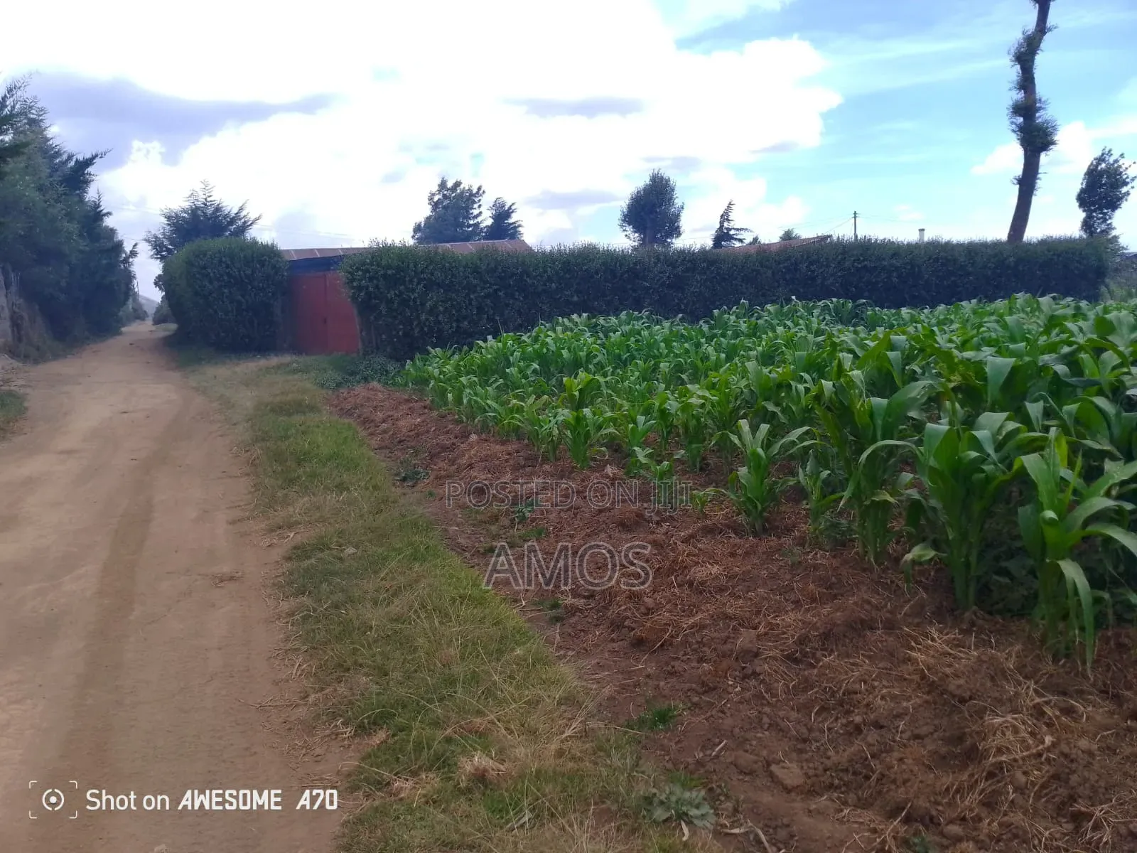 1⁄4ac Plot Flyover Kinangop Next to Flyover Technical College in Magumu