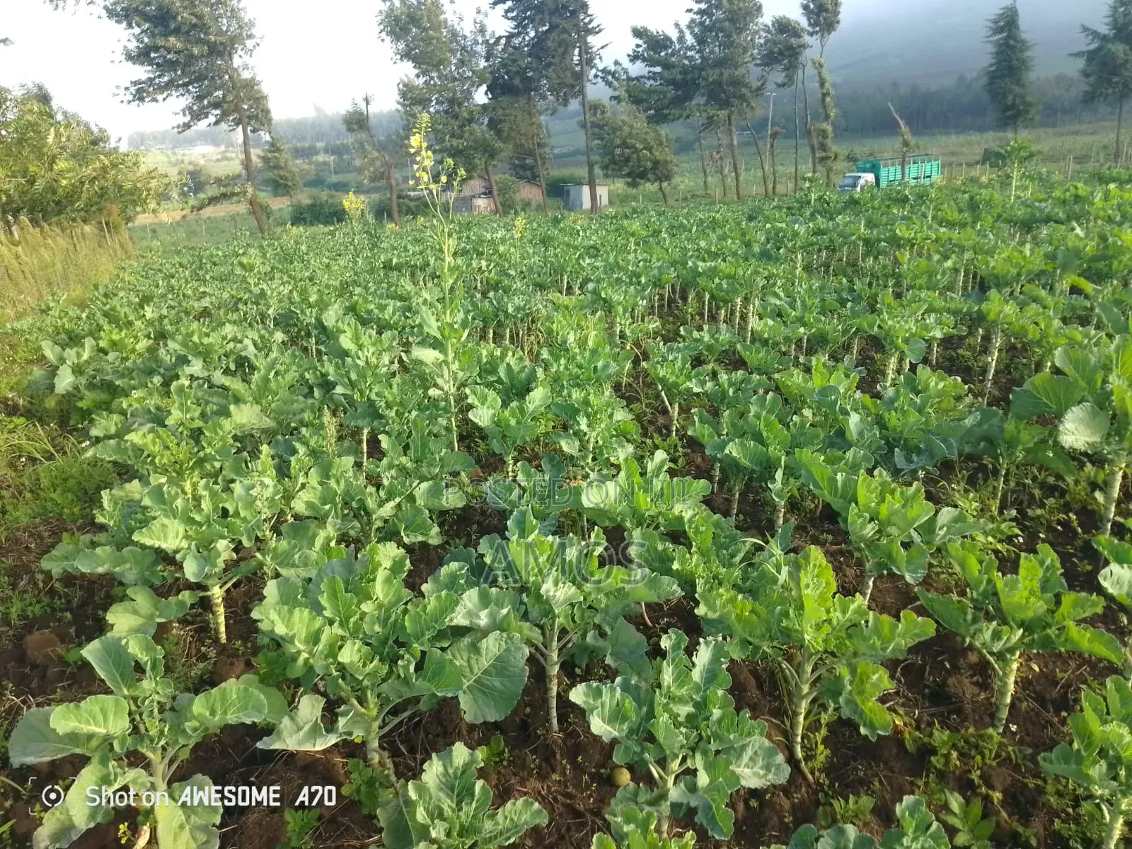1⁄4ac Plot Flyover Kinangop Next to Flyover Technical College in Magumu