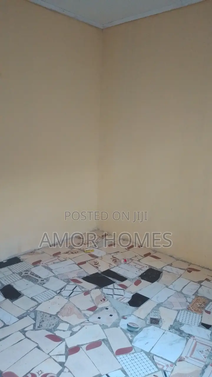 Studio Apartment in Katisha, Mshomoroni for rent in Mshomoroni