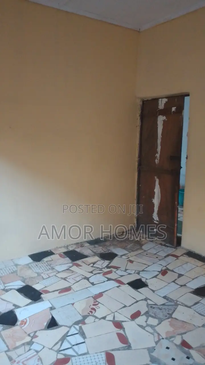 Studio Apartment in Katisha, Mshomoroni for rent in Mshomoroni
