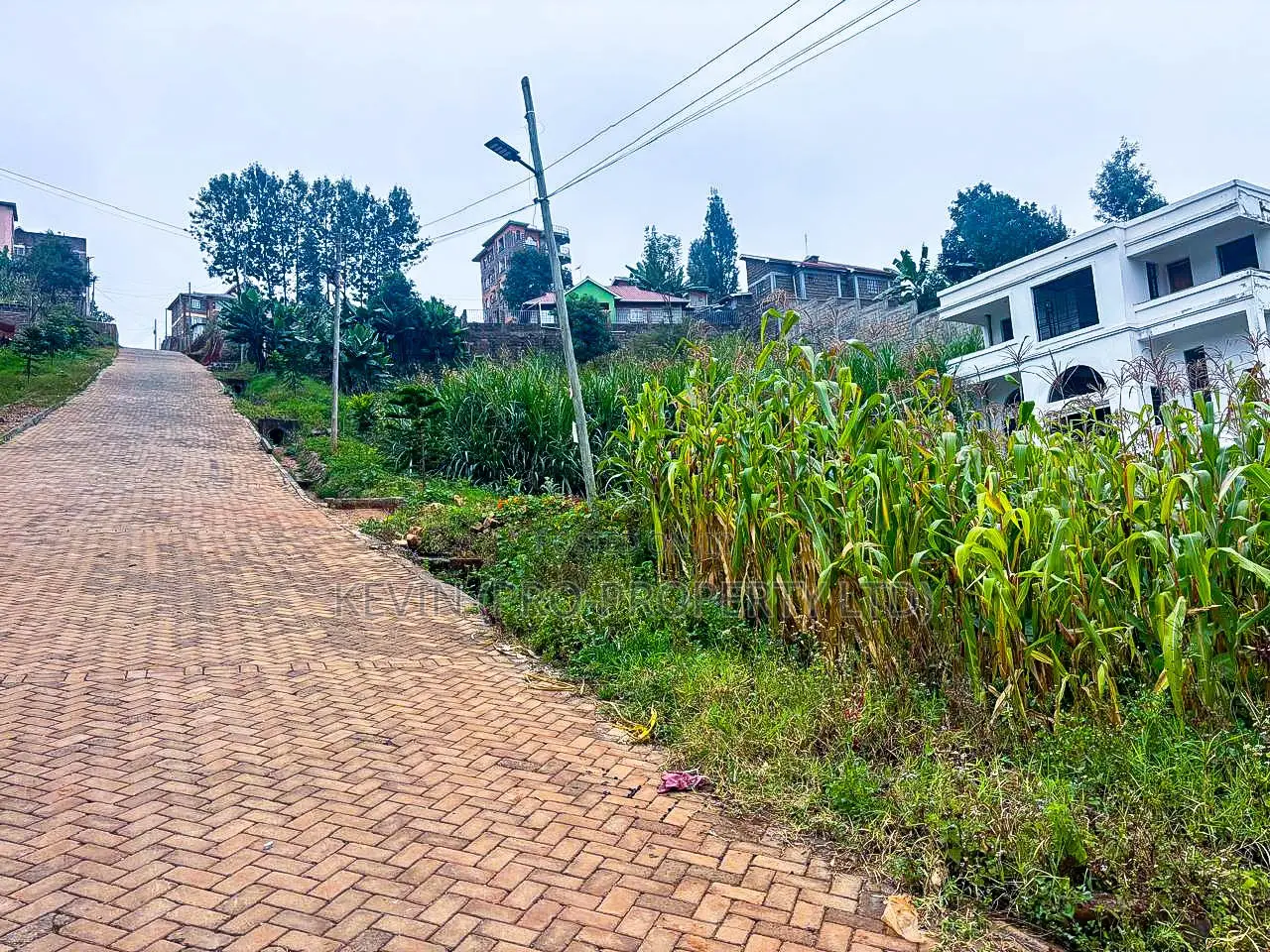 Prime Plot for Sale in Kinoo, Muthiga in Kikuyu