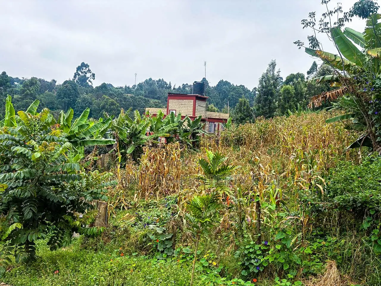 Prime Plot for Sale in Kinoo, Muthiga in Kikuyu