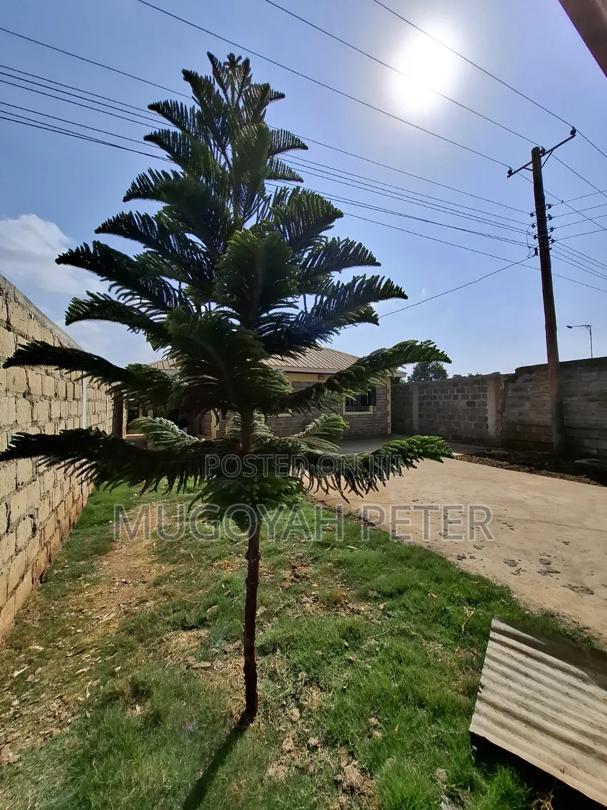 2bdrm Bungalow in Thogoto for rent in Thogoto