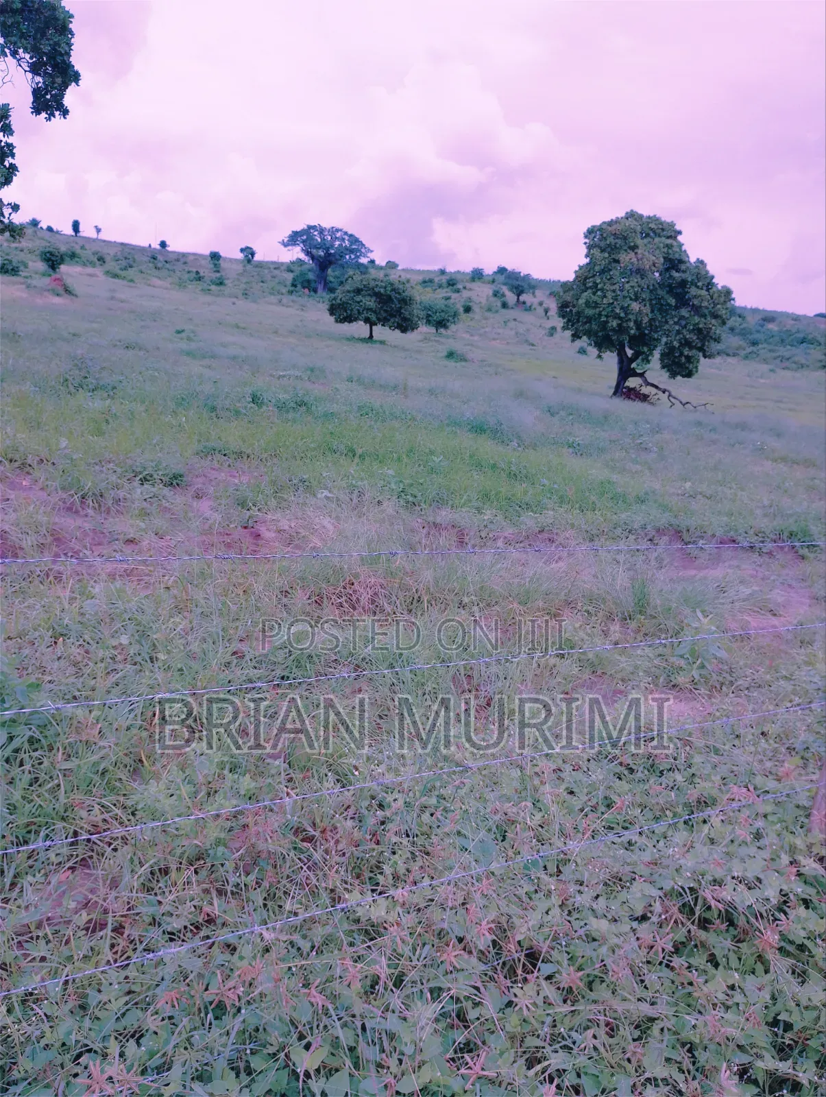30 Acre Land for Sale in Gongoni