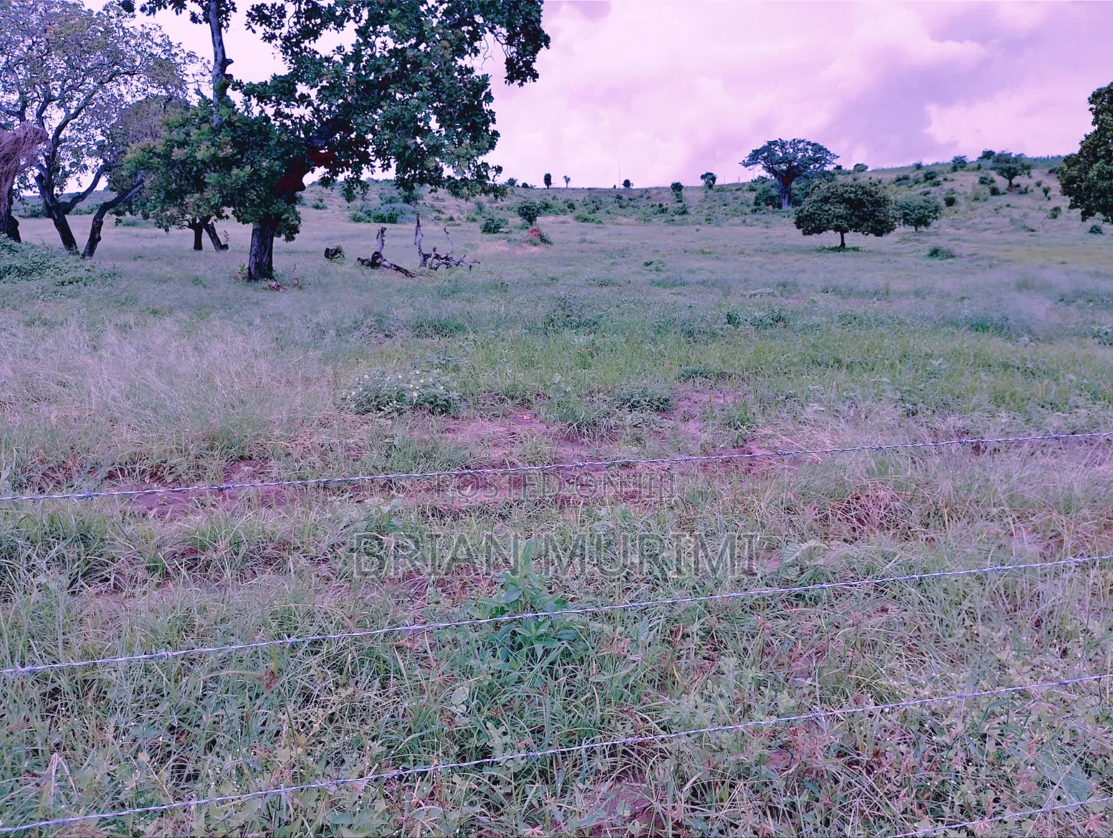 30 Acre Land for Sale in Gongoni