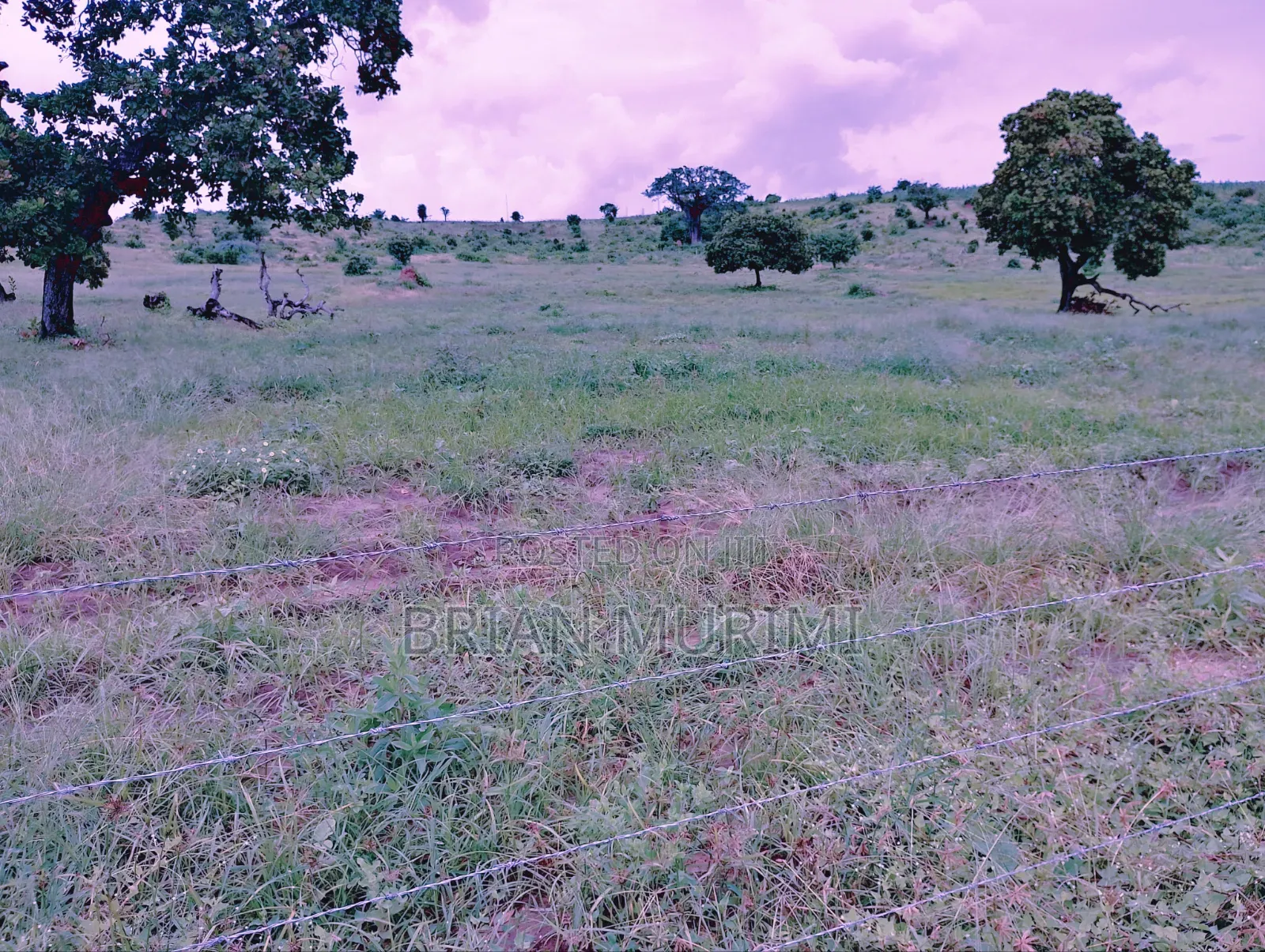 30 Acre Land for Sale in Gongoni