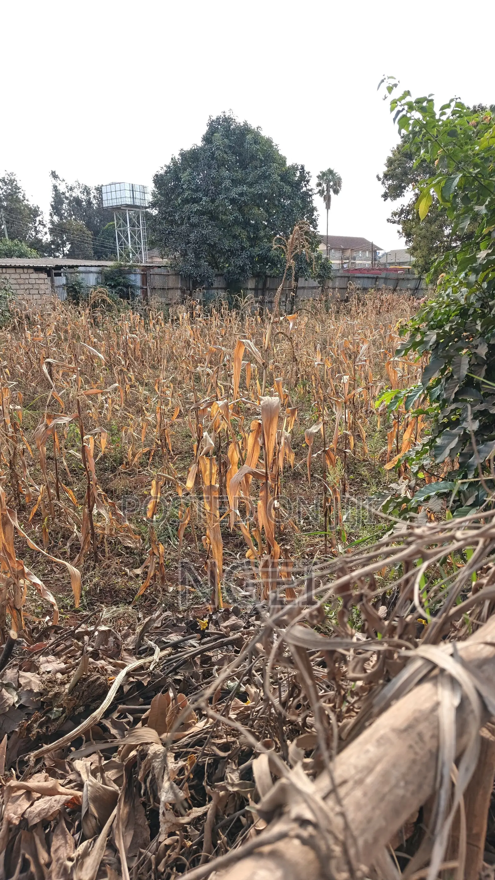 Commercial Land for Sale Thome in Thome