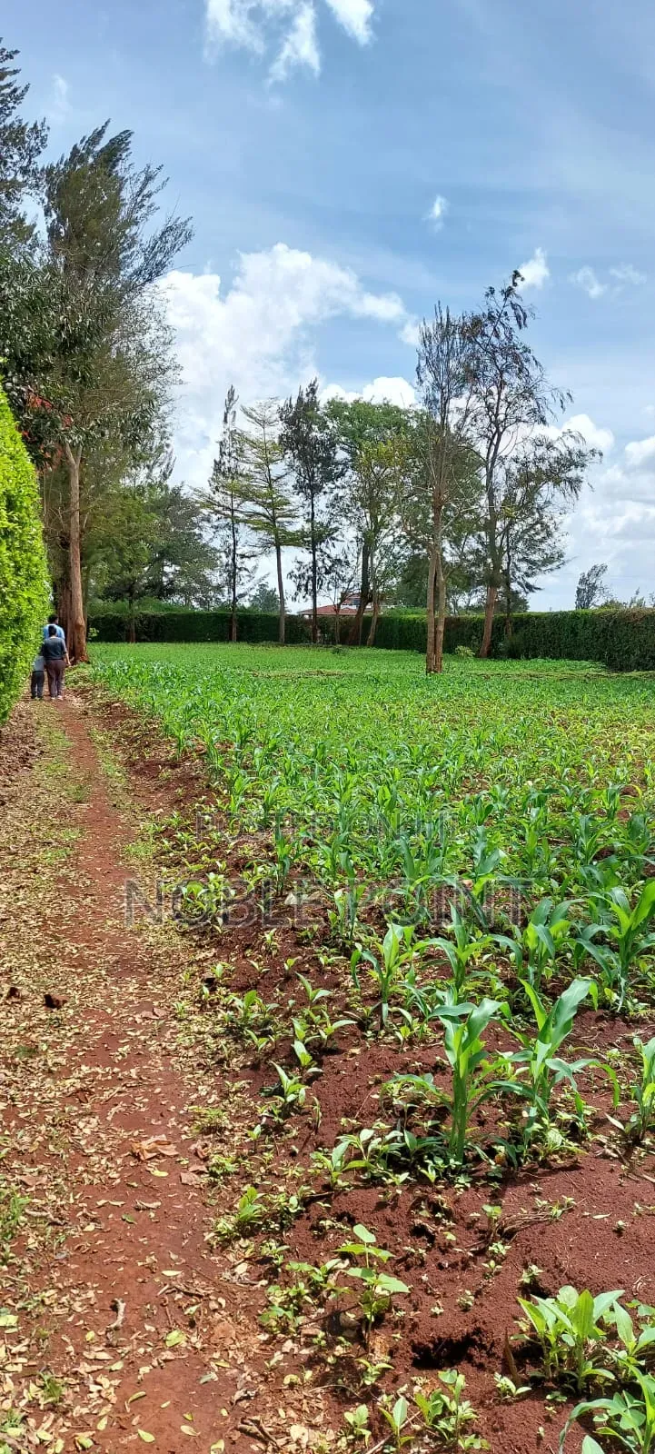 Runda Plot on Sale in Runda