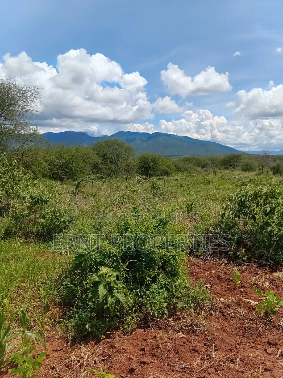 22.6 Acre Land for Sale in Maili Tisa in Kajiado