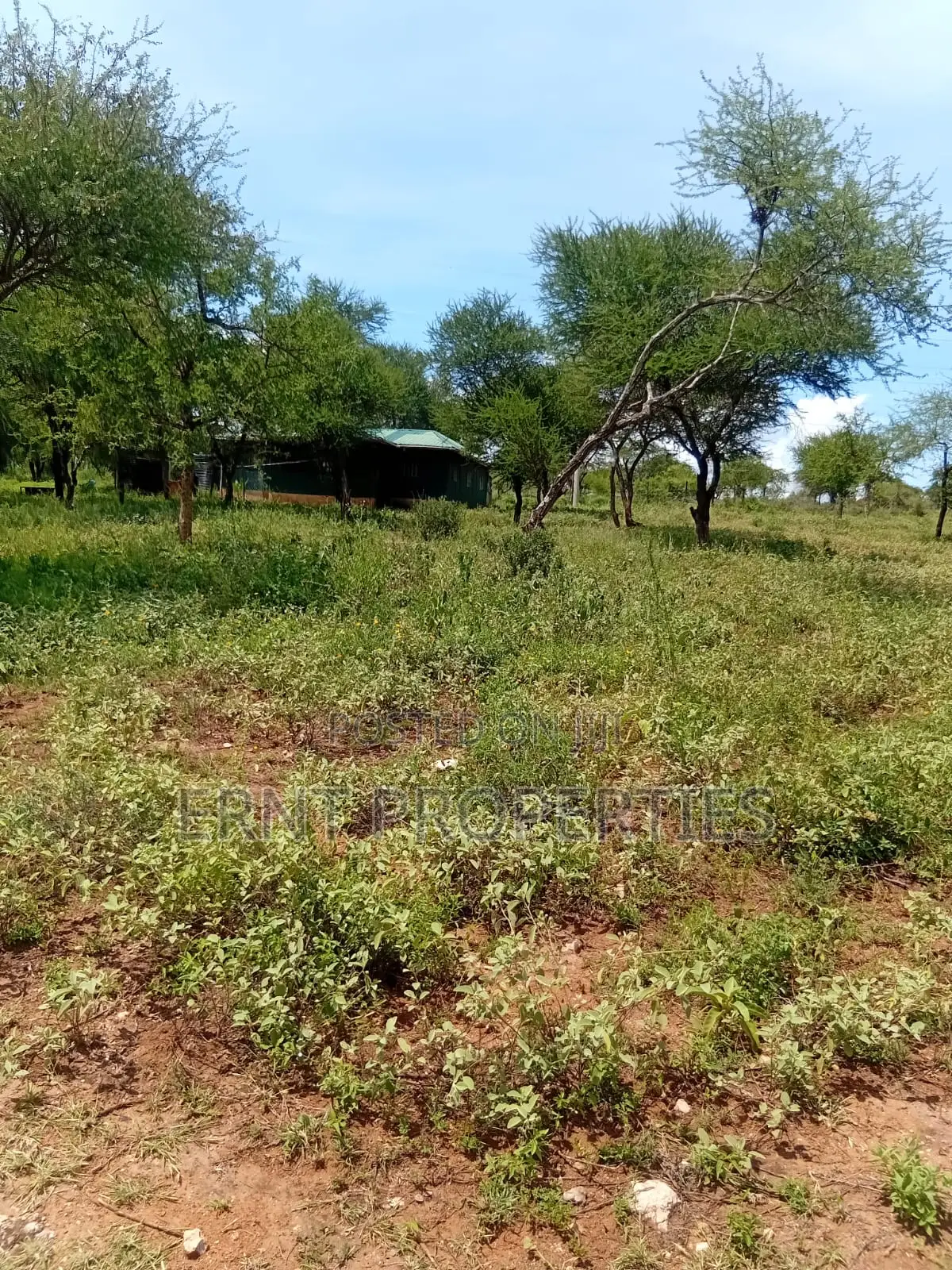 22.6 Acre Land for Sale in Maili Tisa in Kajiado