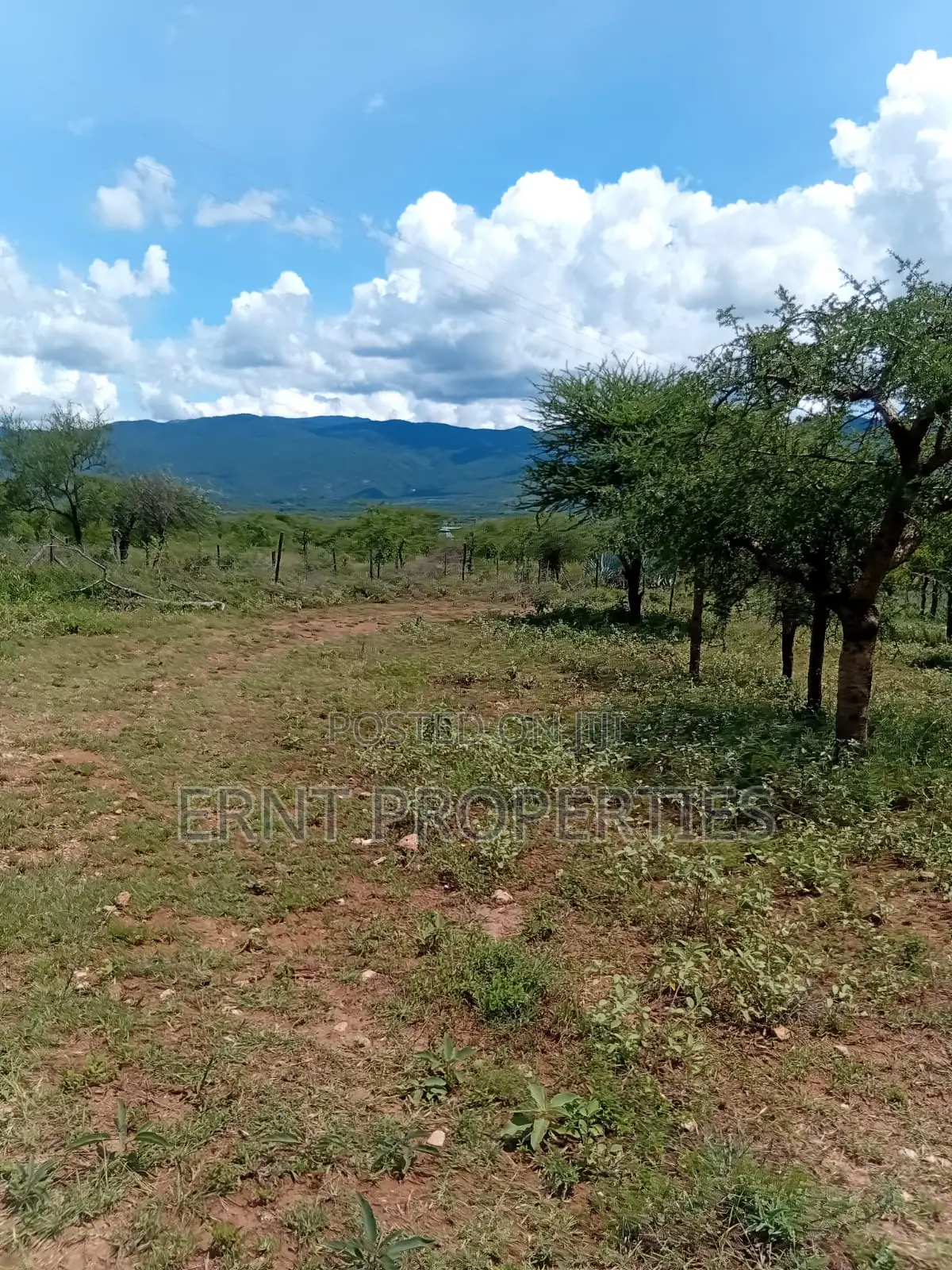 22.6 Acre Land for Sale in Maili Tisa in Kajiado