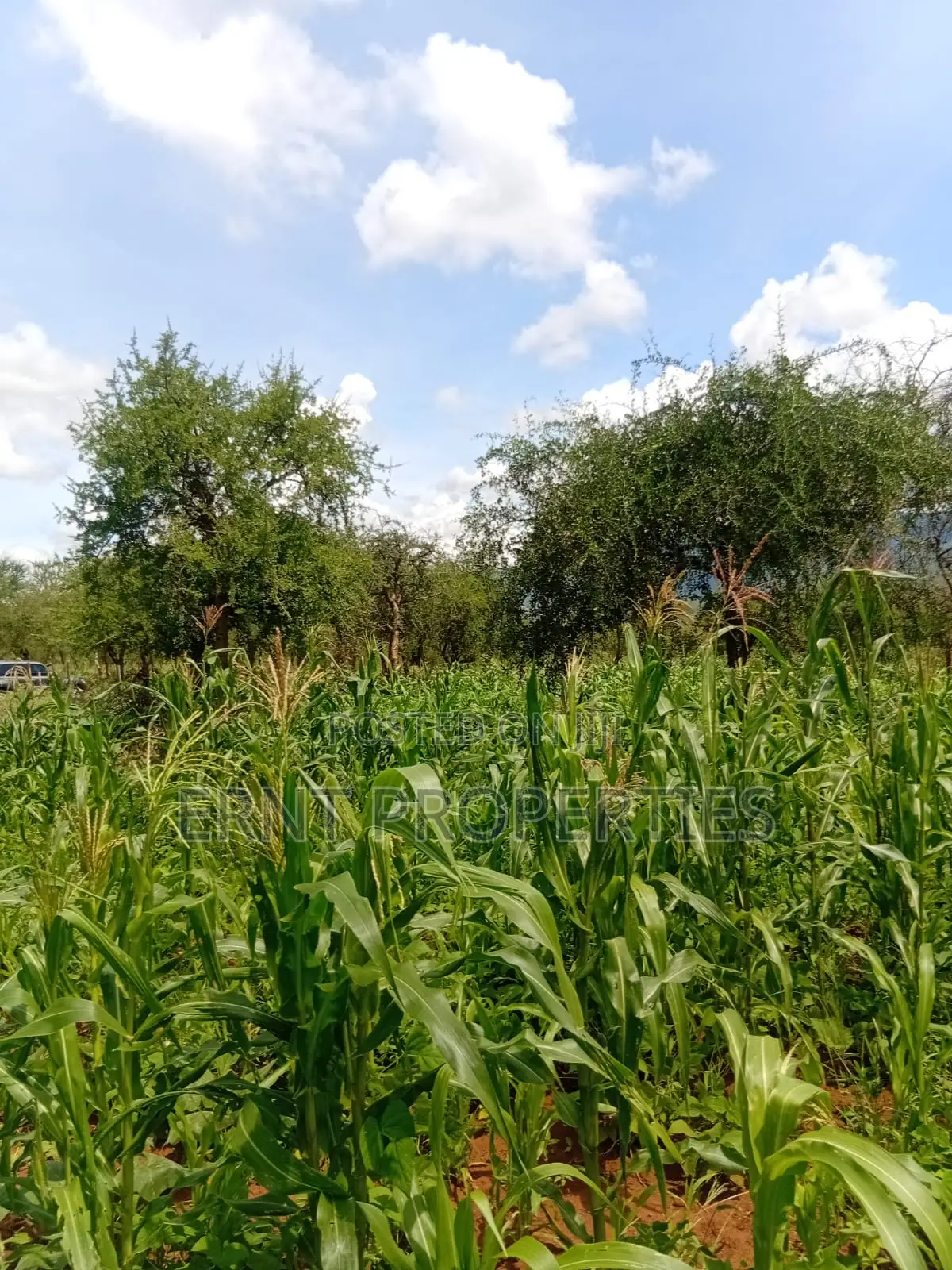 22.6 Acre Land for Sale in Maili Tisa in Kajiado